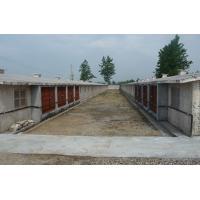 負壓風機養殖 負壓風機養殖